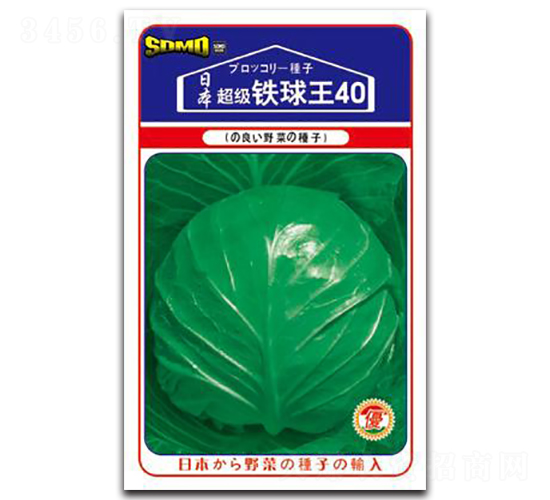 �����F����40-���{�N��-���зN�I(y��)