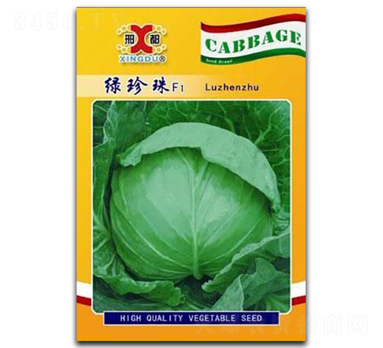 �G����-���{(l��n)�N��-���зN�I(y��)