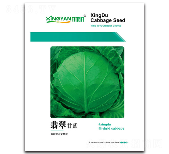 ���-���{(l��n)�N��-���зN�I(y��)