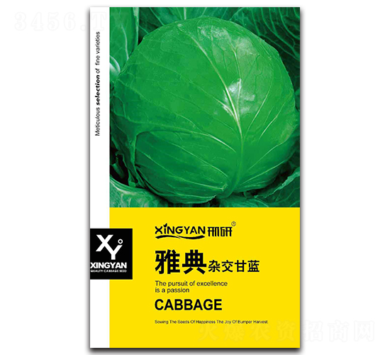 �ŵ�-���{(l��n)�N��-���зN�I(y��)