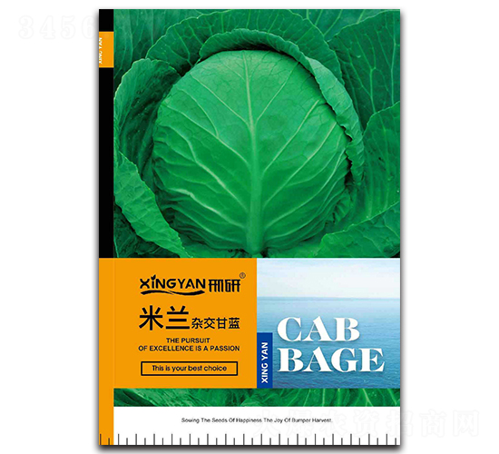 ���m-���{(l��n)�N��-���зN�I(y��)