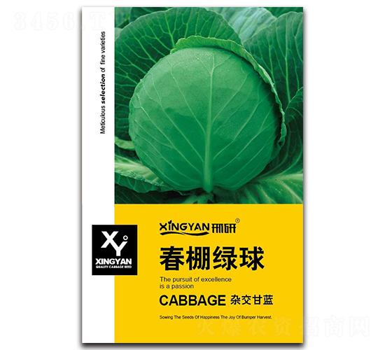 ����G��-���{(l��n)�N��-���зN�I(y��)