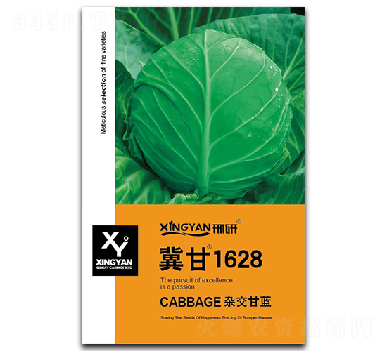 ����1628-���{(l��n)�N��-���зN�I(y��)