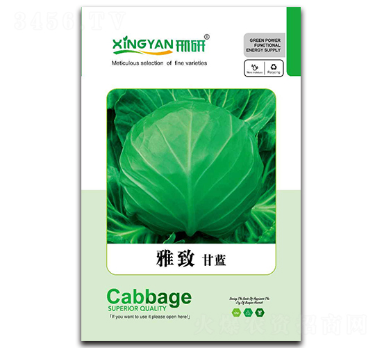 ����-���{(l��n)�N��-���зN�I(y��)