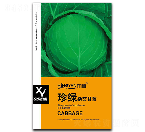 ��G-���{(l��n)�N��-���зN�I(y��)