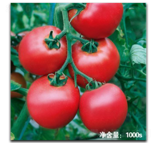 �Z��9023-���ѷN��-�մ��r(n��ng)�I(y��)