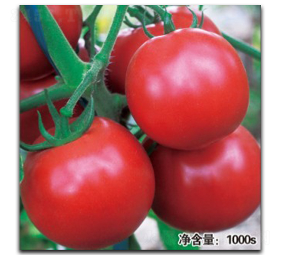 �Z��1047����TY��-���ѷN��-�մ��r(n��ng)�I(y��)