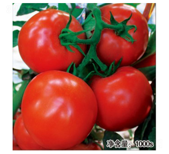 �Z��288-���ѷN��-�մ��r(n��ng)�I(y��)