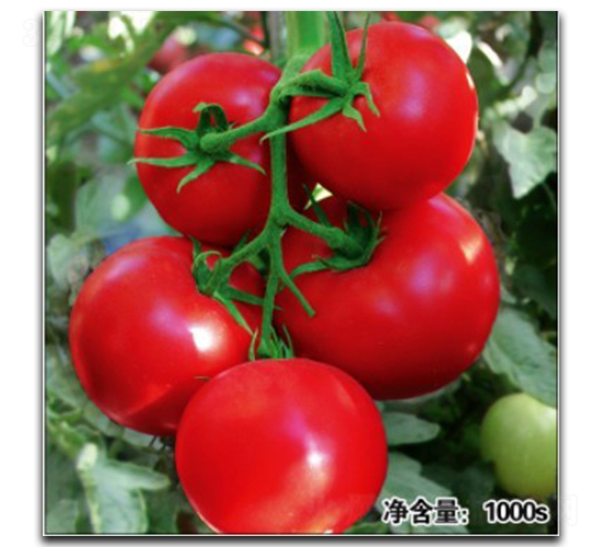 �Z��11189-���ѷN��-�մ��r(n��ng)�I(y��)