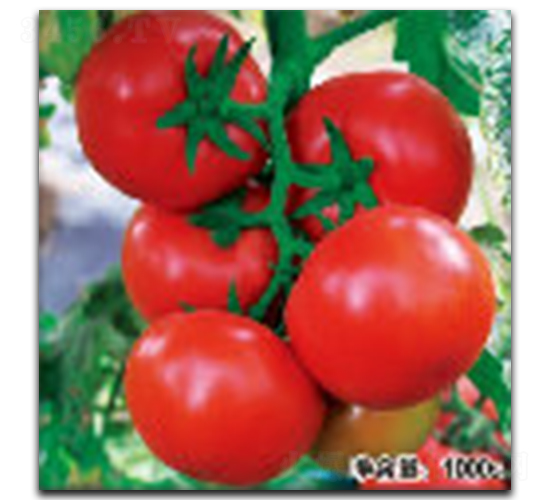 �Z��0329-���ѷN��-�մ��r(n��ng)�I(y��)