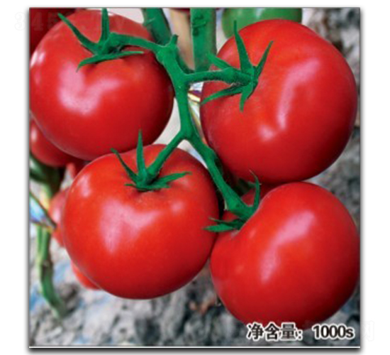 �Z��089-���ѷN��-�մ��r(n��ng)�I(y��)