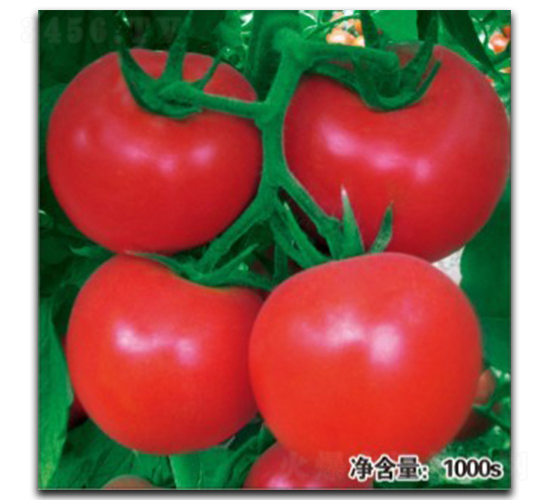 �Z��T121��TY-���ѷN��-�մ��r(n��ng)�I(y��)