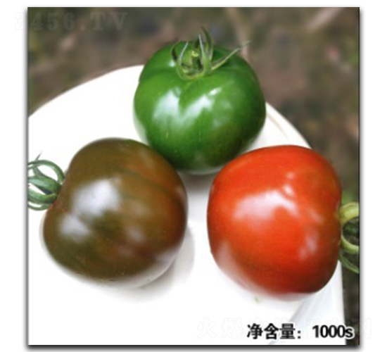 �Z��12044-���ѷN��-�մ��r(n��ng)�I(y��)