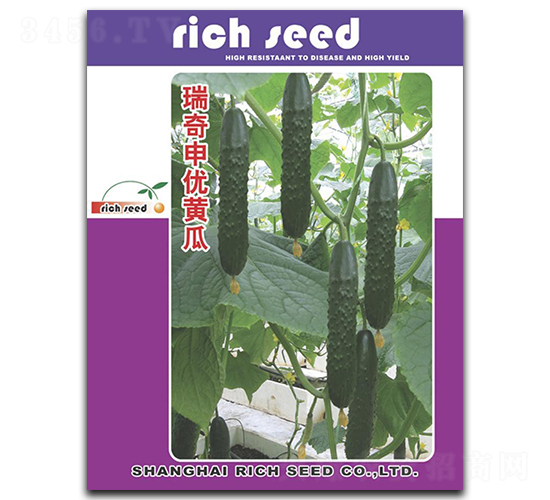 �����ꃞ(y��u)�S��-�S�ϷN��-����N�I(y��)