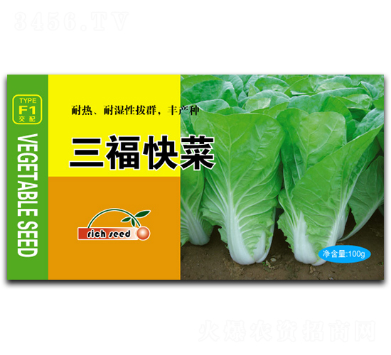 �������-�ײ˷N��-����N�I(y��)