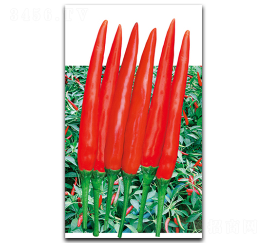 �G�t928-�����N��-����N��