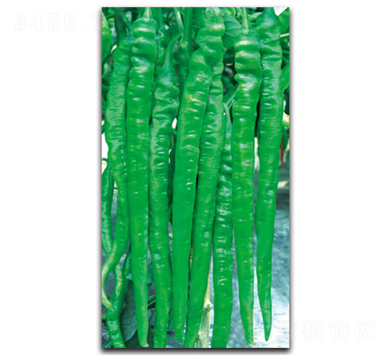 ��������4049-�����N��-����N��