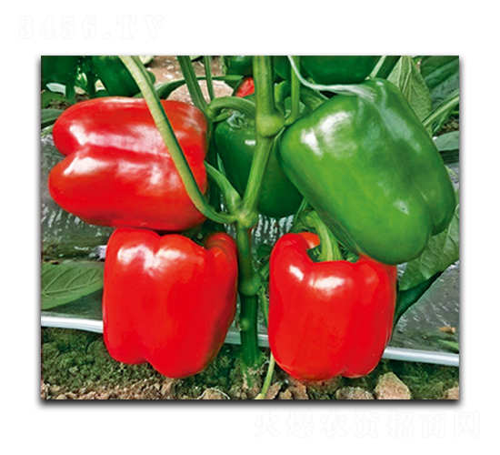 ��������118-�����N��-����N��