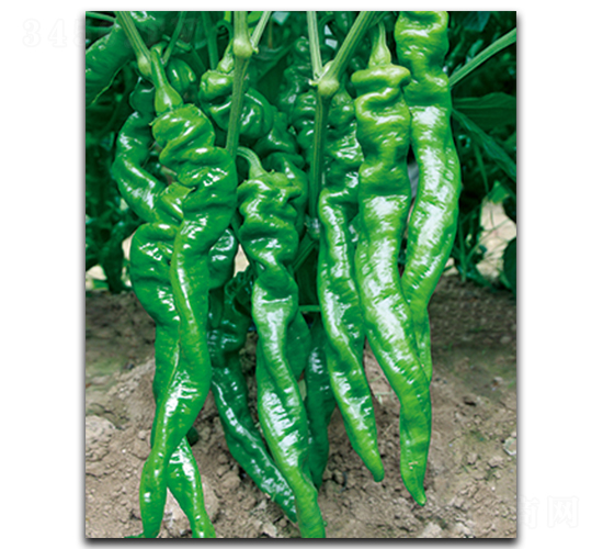 ����S200-�����N��-����N��