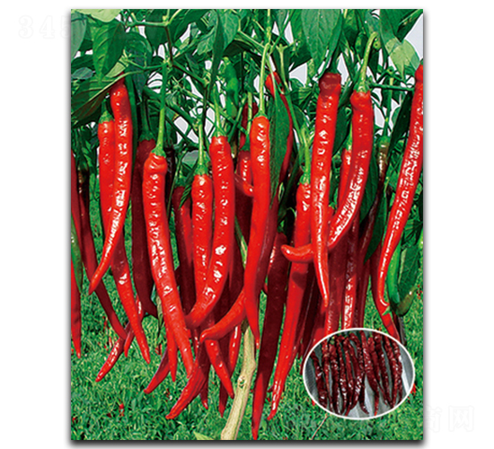 ����S-707-�����N��-����N��