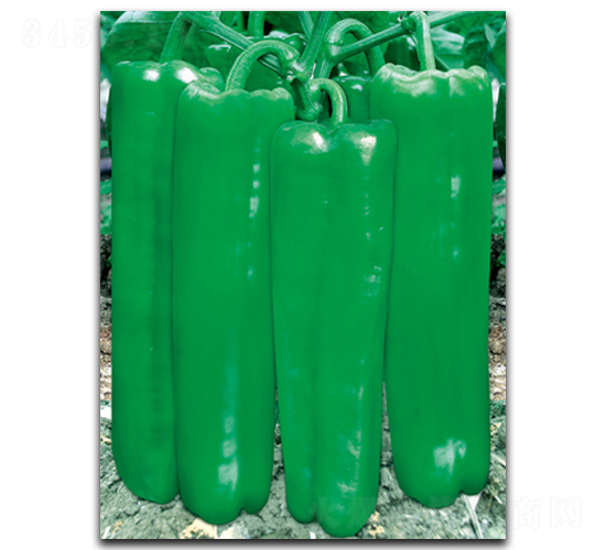 ���ش��901-�����N��-����N��