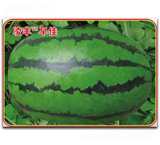 ���S���-���ϷN��-�s�S�N�I(y��)