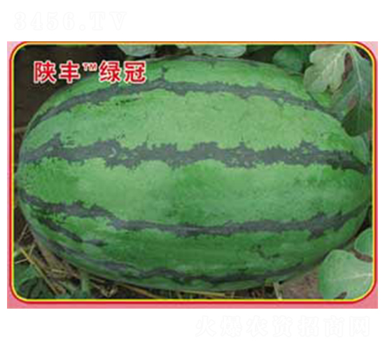 ��S�G��-���ϷN��-�s�S�N�I(y��)