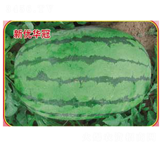 ��(y��u)�A��-���ϷN��-�s�S�N�I(y��)