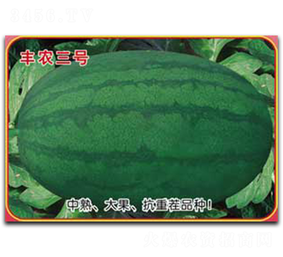 �S�r(n��ng)��̖-���ϷN��-�s�S�N�I(y��)