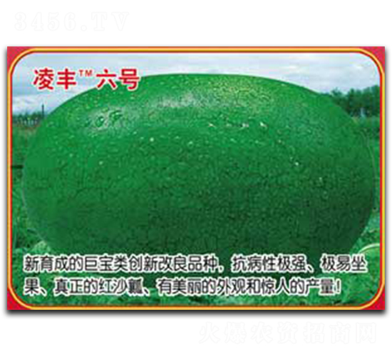 ���S��̖-���ϷN��-�s�S�N�I(y��)