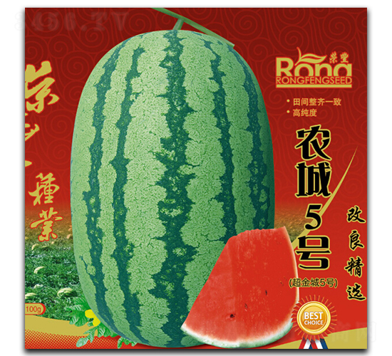 �r(n��ng)��5̖-���ϷN��-�s�S�N�I(y��)