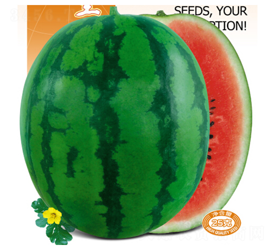 ��S����-���ϷN��-�s�S�N�I(y��)