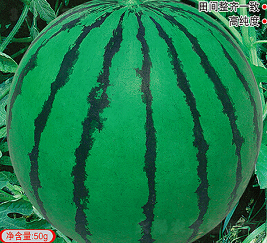 ��Ʒ�w������-���ϷN��-�s�S�N�I(y��)