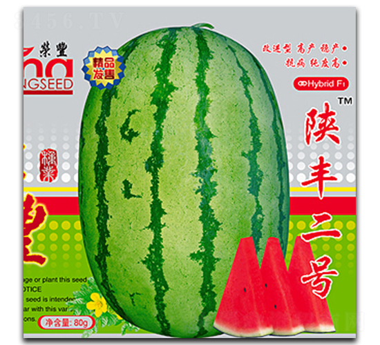 ��S��̖(h��o)-���ϷN��-�s�S�N�I(y��)