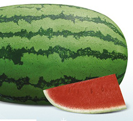 �߿���̖-���ϷN��-�s�S�N�I(y��)