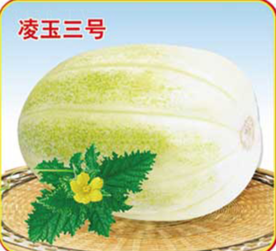 ������̖(h��o)-��ϷN��-�s�S�N�I(y��)