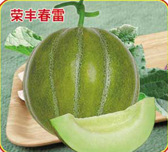 �s�S����-��ϷN��-�s�S�N�I(y��)