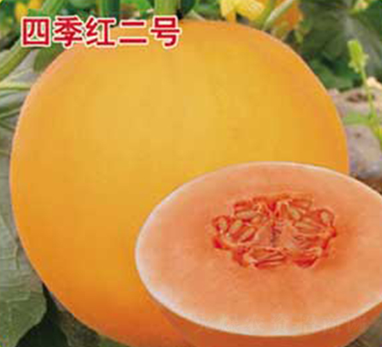 �ļ��t��̖(h��o)-��ϷN��-�s�S�N�I(y��)