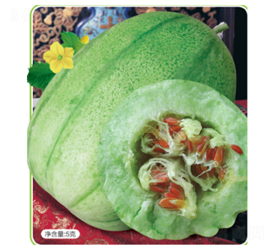 �t��-��ϷN��-�s�S�N�I(y��)