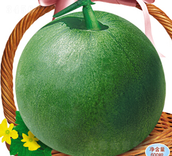 ������-��ϷN��-�s�S�N�I(y��)