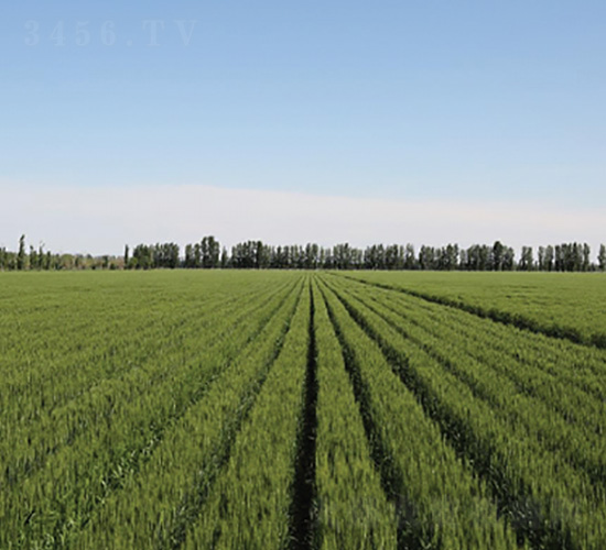 �´�20-С���N��-��ʥ�̷N�I(y��)