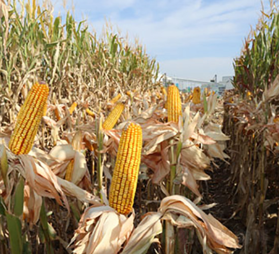 ��ʥ��2468-���׷N��-��ʥ�̷N�I(y��)