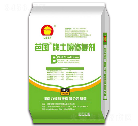 �����ޏ̈́�-�Ŷ�-�����Ƽ�