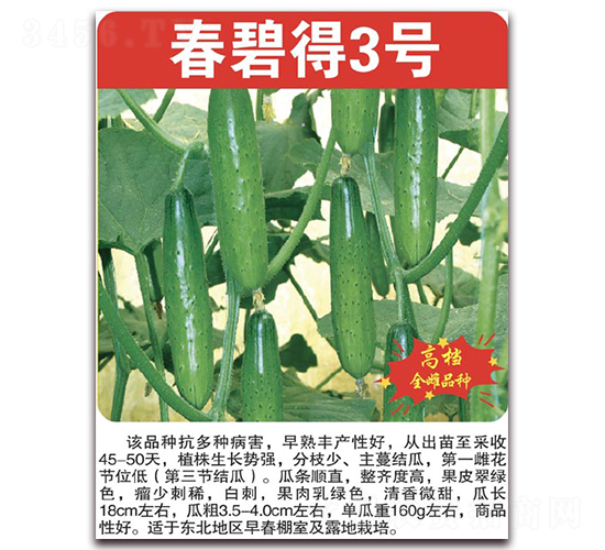 ���̵�3̖(h��o)-�S�ϷN��-���÷N��