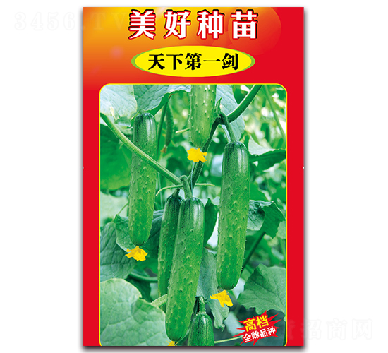 ���µ�һ��-�S�ϷN��-���÷N��