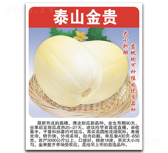 ̩ɽ���F-��ϷN��-���÷N��