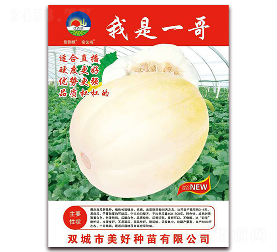 ����һ��-��ϷN��-���÷N��