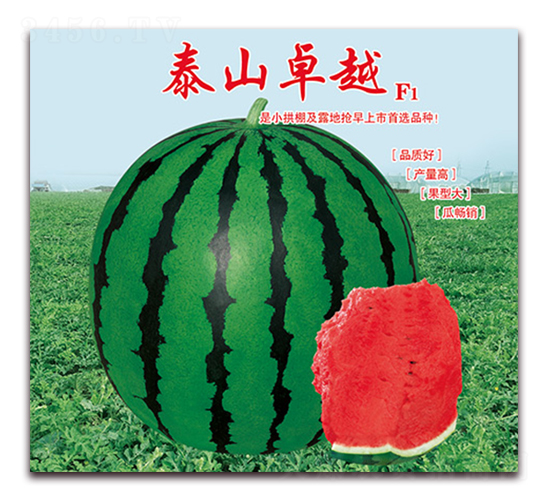 ̩ɽ׿Խ-���ϷN��-���÷N��