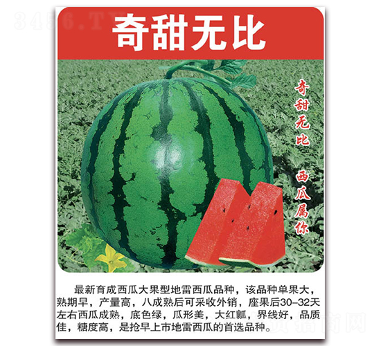 ����o��-���ϷN��-���÷N��