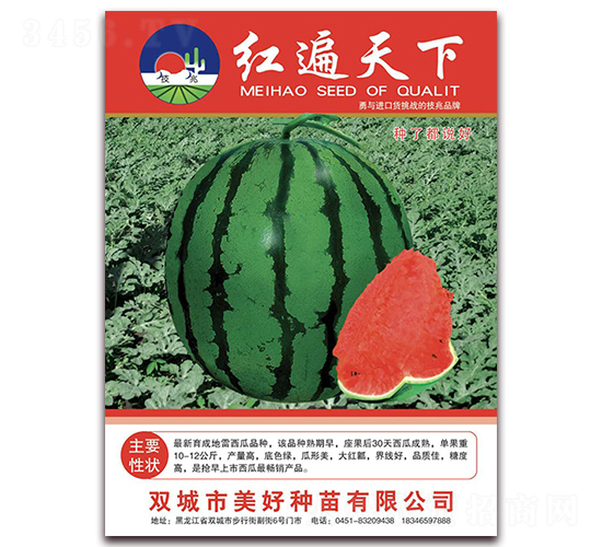 �t������-���ϷN��-���÷N��